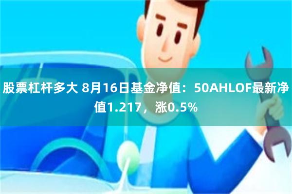 股票杠杆多大 8月16日基金净值：50AHLOF最新净值1.217，涨0.5%