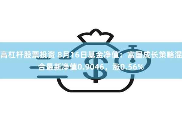 高杠杆股票投资 8月16日基金净值：富国成长策略混合最新净值0.9046，涨0.56%