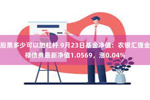 股票多少可以加杠杆 9月23日基金净值：农银汇理金禄债券