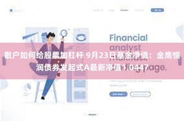 散户如何给股票加杠杆 9月23日基金净值：金鹰恒润债券发起式A最新净值1.0447