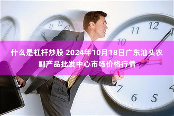 什么是杠杆炒股 2024年10月18日广东汕头农副产品批