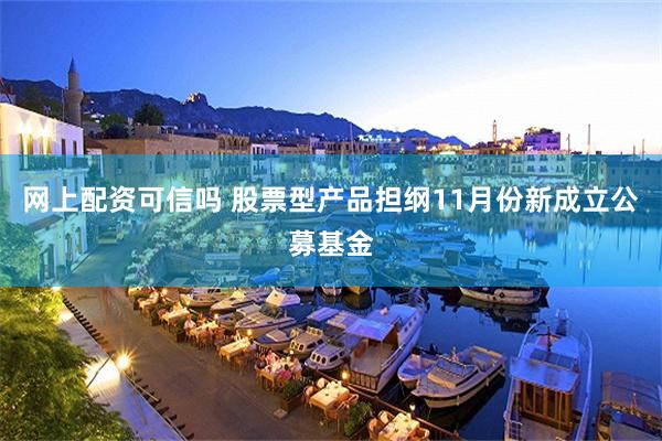 网上配资可信吗 股票型产品担纲11月份新成立公募基金