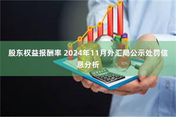 股东权益报酬率 2024年11月外汇局公示处罚信息分析