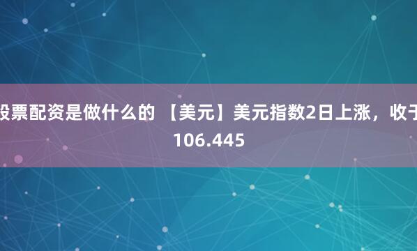 股票配资是做什么的 【美元】美元指数2日上涨，收于106.445