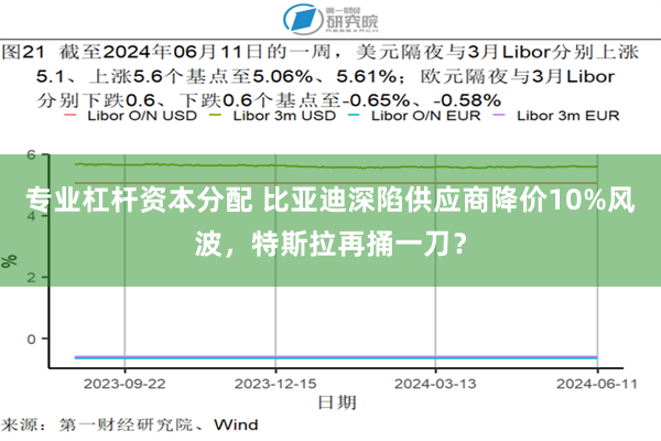 专业杠杆资本分配 比亚迪深陷供应商降价10%风波，特斯拉再捅一刀？