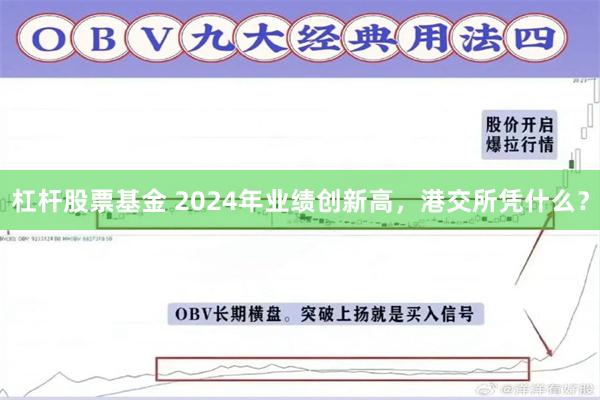 杠杆股票基金 2024年业绩创新高，港交所凭什么？