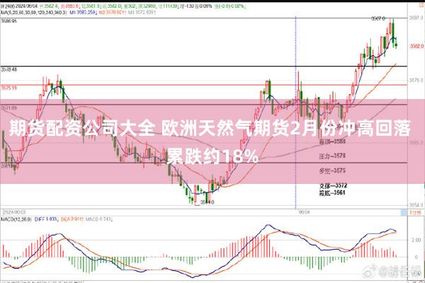 期货配资公司大全 欧洲天然气期货2月份冲高回落 累跌约18%